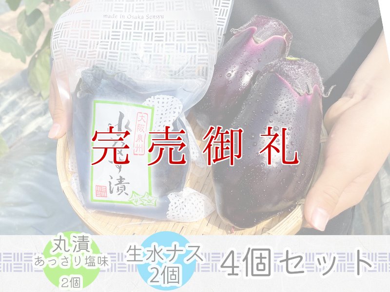 画像1: 水なす丸漬塩味２個＋生水なす２個 (1)