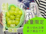 画像1: 【期間限定】泉州マスカット(雄宝500g〜)１房と泉州水なすぬか漬３つ※送料込 (1)