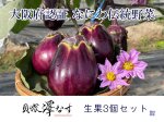 画像1: 貝塚澤なす　生果３個入り (1)